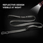 TwoEar 5FT 1IN Strong Gray Dog Leash with 2 Padded Handles, Traffic Handle Extra Control, Comfortable Soft Dual Handle, Auto Lock Hook, Reflective Walking Lead for Small Medium and Large Dogs