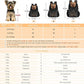 WOYYHO Pet Dog Carrier Backpack Small Dog Front Backpack Ventilated Mesh Dog Travel Back Pack with Safety Belt for Travel Hiking Cycling Outdoor Adventures (Size L: 10-14 lbs, Black)