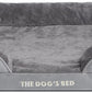 The Dog’s Bed, Orthopedic Standard Foam Waterproof Dog Bed with Standard Support, Large Silver Grey Plush, Waterproof, Supportive Dog Bed with Replaceable Covers, Veterinary Approved