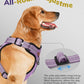 MIDOG No-Pull Dog Harness | Adjustable & Reflective Pet Harness Leash Set for Small Medium Large Dogs Walking, Training| No Choke, Front Clip, Soft Padded Vest with Easy Control Handle - Purple, XL