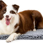 Stoutwool Indestructible Dog Bed - Fluffy Chew Proof Dog Crate Pad - Tough Kennel Pad for Aggressive Chewers - Washable, Ideal for Large Breeds & Fits 36-Inch Crate - 35"x22", Charcoal