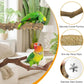 kathson 5pcs Natural Parrot Perch for Cage Wooden Bird Perches Grape Bird Stick Parakeet Climbing Standing Branches Toy Chewable Cage Accessories for Small Budgies Cockatiels Lovebirds