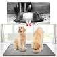 39.4"x29.5" Large Pet Food Mat, Silicone Dog Mats for Food and Water, Nonslip Pet Feeding Mats for Floors,Dog Cat Bowl Mat with Raised Edges, Light Gray
