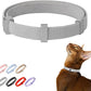 Safety Cat Collar Pro - U.S. IDA Gold Awarding Design, Elastic Quick Release Cat Collar with Buckle Non Breakaway - Lightweight for Kitten All Small Large Cats (Glacier Silver, S 5.9-11.8")