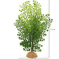 JIHAQUA Lifelike Reptile Tank Plant Decor - Realistic Artificial Plastic Plant for Terrariums and Pet Enclosures (Style A)