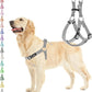 PUPTECK No Pull Dog Harness Soft Adjustable Basic Nylon Step in Puppy Vest Outdoor Walking with ID Tag, Grey, M