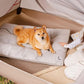 FUNNY FUZZY Washable Dog Bed,Reversible Plush Dog Crate Mat, Soft Fluffy Kennel Pad,Pet Sleeping Mattress for Large,Jumbo,Medium Sized Dogs Breeds,Indoor Cats,41.7" × 28.3", Light Grey