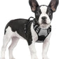 rabbitgoo Dog Harness No Pull with 2 Leash Clips, Adjustable Soft Padded, Reflective Oxford No Choke Pet Vest with Easy Control Handle for Small Dogs, Grey, S