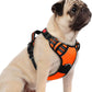 rabbitgoo Dog Harness Small Sized, No Pull Dog Vest with 3 Buckles, Adjustable Soft Padded Pet Harness with Easy Control Handle and Reflective Strips, Orange, S