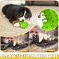 Christmas Dog Gifts, Dog Toys for Small Dogs Dog Toothbrush for Teething Cleaning, Rubber Squeaky Toys for Puppy