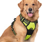 rabbitgoo Dog Harness No Pull with 2 Leash Clips, Adjustable Soft Padded, Reflective Oxford No Choke Pet Vest with Easy Control Handle for Large Dogs, Green, XL
