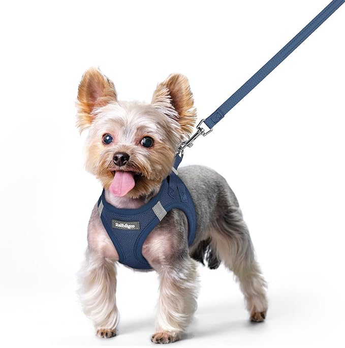 rabbitgoo Dog Harness Small Sized and Leash Set, Step in Soft Light Puppy Vest, Breathable Mesh Pet Harness, Reflective for Safe Outdoor Walking, Navy Blue XS