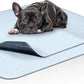 Paw Inspired Washable Pee Pads for Dogs (2 Pack), Leakproof, Non-Slip Reusable Puppy Pads for Potty Training, Whelping, Waterproof Mat (34x36 Inch, Pack of 2)