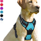 BARKBAY No Pull Dog Harness Front Clip Heavy Duty Reflective Easy Control Handle for Large Dog Walking(Blue,XL)