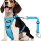 Dog Seat Belt Harness for Car, Dog Car Harness Adjustable Mesh Breathable & Dogs Seatbelt Safety Tether with Elastic Bungee for Small Medium Large Pets(Blue, M)