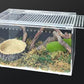 Acrylic Reptile Terrarium Enclosure 9.8" x 5.9" x 5.9" Magnetic Tarantula Breeding Box Transparent Insect Habitat for Jumping Spider Hermit Crab Lizard Sling Isopods Horned Frog Snake Gecko