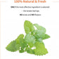 Premium Catnip for Cats & Kittens – Cold-Processed, High Potency Nepetalactone, 100% Pure Leaf-Only Catnip for Toys, Scratchers, Refills, Stimulates Play & Protects Furniture - 10g