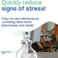 Virbac Zenifel Cat Spray for Managing Stress-Related Behaviors in Kittens & Cats - Quick-Acting - Ideal for Unexpected Stressful Situations - 1 Bottle