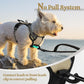 rabbitgoo Dog Harness No Pull with 2 Leash Clips, Adjustable Soft Padded, Reflective Oxford No Choke Pet Vest with Easy Control Handle for Puppy, Beige, XS