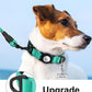 TagME Airtag Dog Collar,Waterproof Reflective Pet Collar with Airtag Holder,Soft Padded and Double D-Rings for Small Dogs,Turquoise