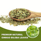 TEARELAE - Ginkgo Biloba Tea Bags, 50 Count - 100% Pure Ginkgo Biloba Leaves - Non-GMO - Naturally Caffeine-free Herbal Tea - Support Vision Health & Enhance Immunity