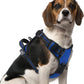 PUPTECK No Pull Dog Harness Medium Sized, Adjustable Reflective Dog Harness with Handle Easy Control, Comfortable Soft Padded Pet Vest Harness for Medium Dogs, Blue M