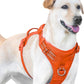 No Pull Dog Harness, Reflective Puppy Vest for Small Medium Large Sized Dog(Orange,M)