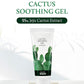 YADAH Cactus Soothing Gel (8.45fl oz) - Sunburn Relief, Calm, Cool & Soothe Irritated Skin, Face Redness. Korean Skin Care. 95% Cactus Extract, Vegan.