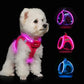 Light Up Dog Harness,Rechargeable LED Dog Harness for Small Medium Large Dogs,Reflective Lighted Safety Vest for Night Walking & Camping,Lightweight & Adjustable,Pink,M