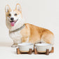 Ceramic Dog Bowls for Medium Small Dogs - 4 Cup Medium Dog Food and Water Bowls with Wood Stand, Cute Pet Dishes Set of 2, Lines+Dot