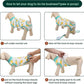 Kuoser Recovery Suit for Dogs Cats After Surgery, Professional Pet Recovery Shirt Dog Abdominal Wounds Bandages, Substitute E-Collar & Cone,Prevent Licking Dog Onesies Pet Surgery Recovery Suit