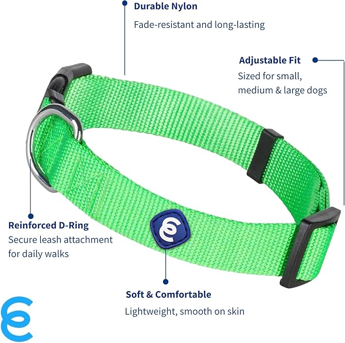 Blueberry Pet Essentials Neon Green Adjustable & Durable Large Dog Collar for Boys | Classic Collars for Large & Small Dogs, Stylish, Sturdy Nylon Collar for Pet Lovers