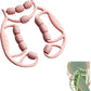 Deep Tissue Massage Roller for Legs Leg Massager Roller Thigh Massager PP 18-Wheel 9.45x10.24x4.33in Pink/Green for Home Fitness Muscle Recovery Men Women (12Wheels,Pink)