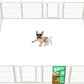 FXW Rollick Unleashed Dog Playpen for Indoor, Yard, RV Camping, 24 inch 16 Panels for Small and Puppy Dogs, White│Patented