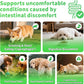 Premium Dog Digestive Enzymes and Probiotics with Pumpkin for Gut Health Support - Daily Chews for Digestion & Gas Relief - Chicken Flavor-90 Count