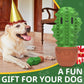 Dog Chew Toys Toothbrush Stick Teeth Cleaning Brush Dental for Medium Large Dog, Puppy Christmas,Easter Birthday Gifts,Outdoor Dog Squeaky Toys for Aggressive Chewers Tough Toys Interactive