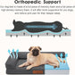 Chew Proof Dog Bed, 3" Memory Foam Dog Bed for Small and Medium Dogs, Removable and Washable Microsuede Cover, Waterproof Liner, Nonskid Bottom, 35x23 Inches M Dark Grey
