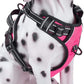 PoyPet No Pull Dog Harness, Reflective Comfortable Vest Harness with Front & Back 2 Leash Attachments and Easy Control Handle Adjustable Soft Padded Pet Vest for Small to Large Dogs (Pink,XS)