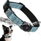Upgraded AirTag Dog Collar, IP68 Waterproof Air Tag Dog Collar Holder, Reflective, Ultra-Durable, Comfortable Padded, Heavy Duty Dog Collars for Small Medium Large Dogs (XS (10.25"-13")), LightBlue