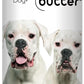 The Blissful Dog White Boxer Nose Butter for Dry, Cracked Skin, Lick-Safe Dog Nose Balm with Moisturizing Shea Butter, Almond, Olive, and Essential Oils, Pet Supplies, Uncented, 0.50 oz.