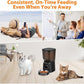 Automatic Cat Feeder, Cat Food Dispenser with Stainless Steel Bowl, Timed Portion Control 20 Portions 6 Meals Per Day, Voice Recorder, Dual Power Supply for Small Dogs (Black)