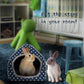 BWOGUE Guinea Pig House Bed Cozy Hamster Cave Large Hideout for Dwarf Rabbits Hedgehog Bearded Dragon Winter Nest Hamster Cage Accessories