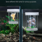 Pawfly Breeder Box for Fish Tank, Aquarium Fish Breeding Box, Floating Guppy Breeder Box, Baby Fish Separator for Aquarium, Plastic Hatchery Incubator Isolation Box for Shrimp Betta Clownfish, Medium