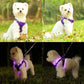Light Up Dog Harness,Rechargeable LED Dog Harness for Small Medium Large Dogs,Reflective Lighted Safety Vest for Night Walking & Camping,Lightweight & Adjustable,Purple,M