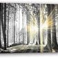 Yxbhhym-Bedroom Wall Art Decor for Living Room Large Canvas Prints Art Black and White Forest Wall Art Trees Picture Landscape Artwork for Wall Nature Scenery Poster Painting Office Decorations