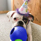 Jolly Pets Teaser Ball Dog Toy, Medium/6 Inches, Blue, 6-Inch Teaser Ball, Blue