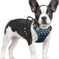 rabbitgoo Dog Harness No Pull with 2 Leash Clips, Adjustable Soft Padded, Reflective Oxford No Choke Pet Vest with Easy Control Handle for Large Dogs, Blue Star, S
