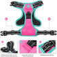 PHOEPET 2019 Upgraded No Pull Dog Harness, Reflective Adjustable Vest, with a Training Handle + 2 Metal Leash Hooks+ 3 Snap Buckles +4 Slide Buckles(XS, Pink)