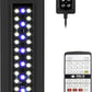 NICREW RGB+W 24/7 LED Aquarium Light with Controller, Full Spectrum Fish Tank Light for Planted Freshwater Tanks, Planted Aquarium Light with Extendable Brackets to 24-30 Inches, 21 Watts