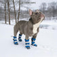 Spark Paws Dog Shoes, Waterproof Dog Boots for Medium to Large Dogs, Non Slip, Breathable Dog Booties and Paw Protectors - 4PCS Doggie Hiking Boots with Reflective Straps, Blue Camo, Size 2